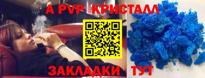 прущие грибы Можайск