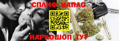 прущие грибы Можайск