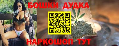 гашик Моздок