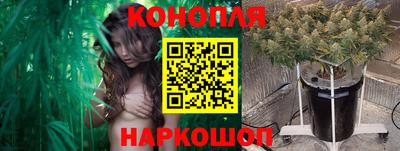 гашик Моздок