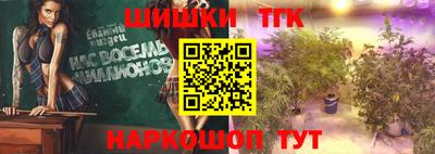 гашик Моздок