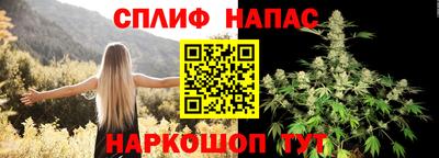 прущие грибы Можайск