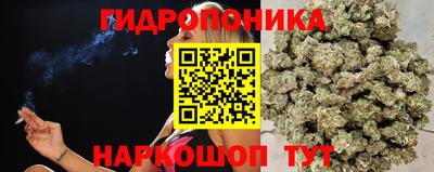 прущие грибы Можайск